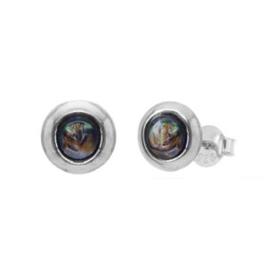 Brinco Redondo Abalone Prata 925
